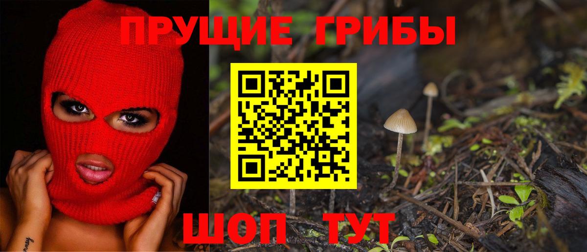 Новотроицк  Галлюциногенные грибы Magic Shrooms  Вход с VPN  Галлюциногенные грибы мухоморы 