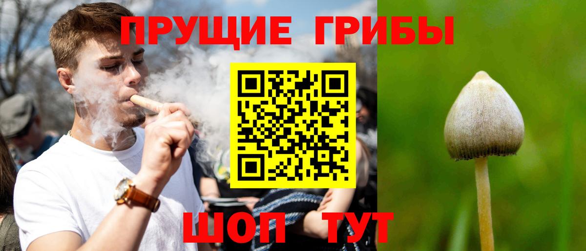 Псилоцибиновые грибы Magic Shrooms Новотроицк